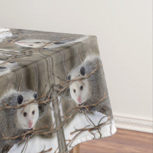 Nappe Opossum Nature