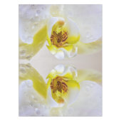 Nappe Orchid Dew (Devant)