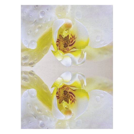 Nappe Orchid Dew (Devant)