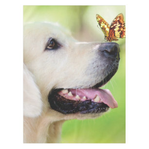 Nappe Oreiller À Lancer Du Labrador Et Du Papillon