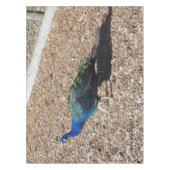 nappe Paon bleu indien (Devant)