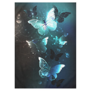 Nappe Papillons de nuit