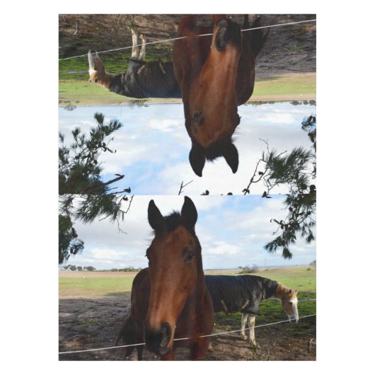 Nappe Pays du cheval, (Devant)