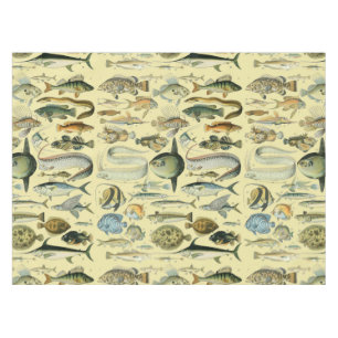 Nappe Pêche scientifique vintage
