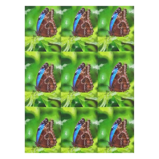 Nappe Peinture à papillon (Devant)