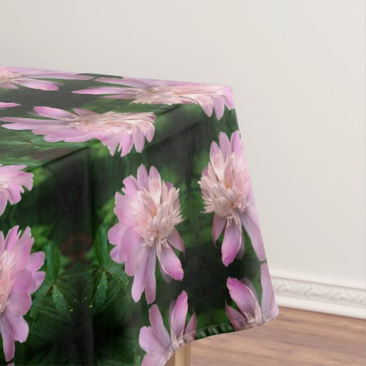 Nappe Peony Flower Nature Abstraite (In Situ)