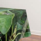 Nappe Perroquet vert (In Situ)