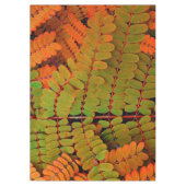 Nappe Petit Motif Feuille (Devant)