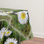 Nappe Petites marguerites (In Situ)