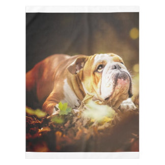 Nappe Photo de la forêt de Bulldog en anglais