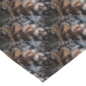 Nappe Pinecones (Angle)