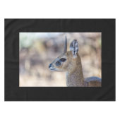 Nappe Portrait Klipspringer (Devant (Horizontal))