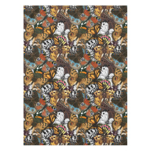 Nappe Poster de animal. Ailes papillons.
