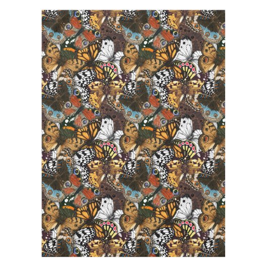 Nappe Poster de animal. Ailes papillons. (Devant)
