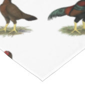Nappe Poules Aseel Black Red (Angle)