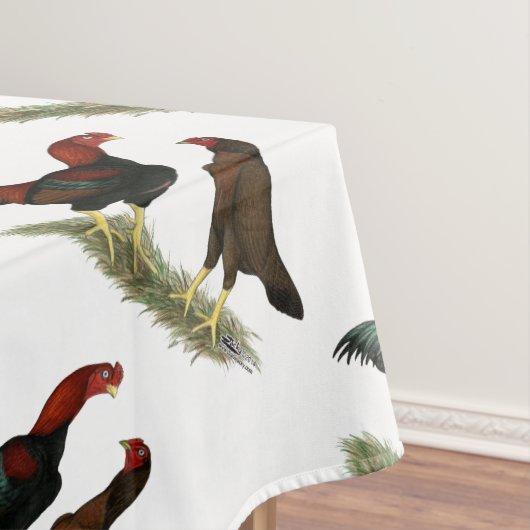 Nappe Poules Aseel Black Red (In Situ)