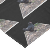 Nappe Poulet à chair noire, (Angle)