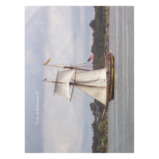 nappe Pride of Baltimore II (Devant)
