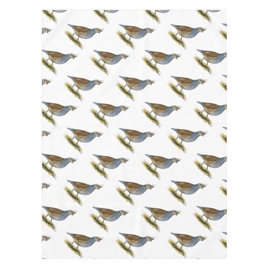 Nappe Quail à échelle (Devant)