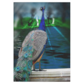 Nappe Queue de paon (Devant)