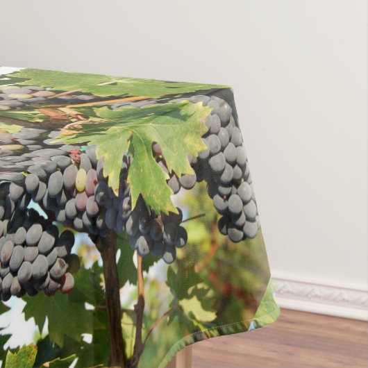 Nappe Raisins de vigne sur vigne (In Situ)