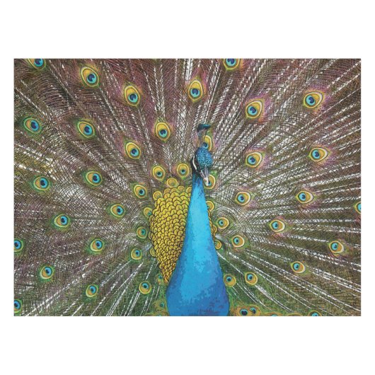 Nappe Regal Peacock avec Turquoise Blue et Gold Plumage (Devant (Horizontal))