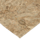 Nappe Regard fossile de marbre Brown (Angle)