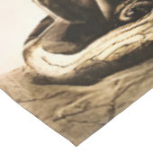 Nappe Renard mystique printanier de montagne embrumée mi (Angle)