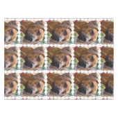 Nappe rhodesian-ridgeback-5 (Devant (Horizontal))