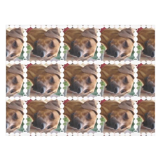 Nappe rhodesian-ridgeback-5 (Devant (Horizontal))