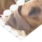 Nappe rhodesian-ridgeback-5 (Angle)