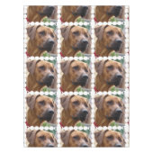 Nappe rhodesian-ridgeback-5 (Devant)