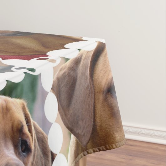 Nappe rhodesian-ridgeback-5 (In Situ)