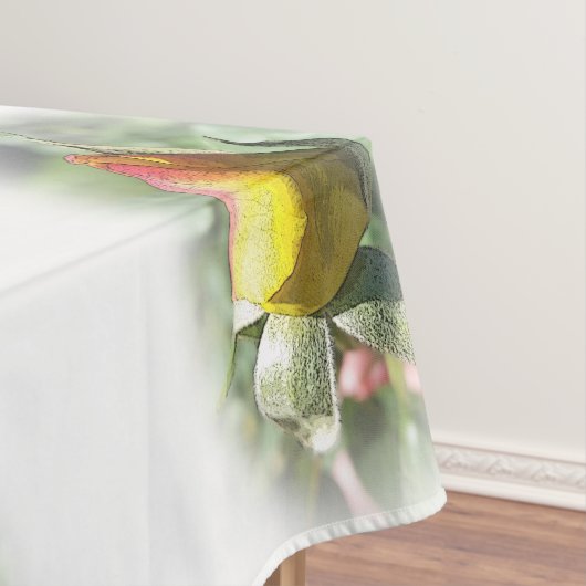 Nappe rose jaune (In Situ)