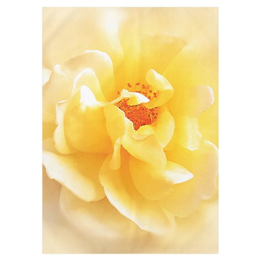 Nappe Rose jaune blanc Couleurs douces (Devant)