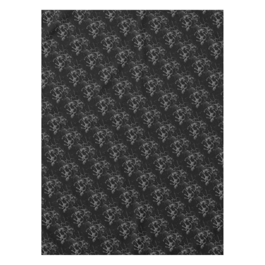 Nappe Sagittarius Constellation Hevelius 1690 sur noir (Devant)