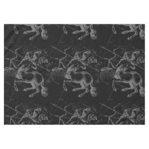 Nappe Sagittarius Constellation Hevelius 1690 sur noir