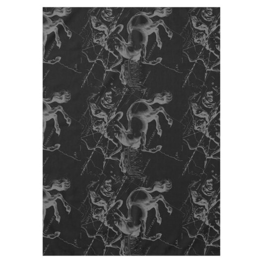 Nappe Sagittarius Constellation Hevelius 1690 sur noir (Devant)