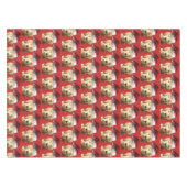 Nappe Santa Claus (Devant (Horizontal))