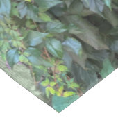 Nappe Serene Green Ivy Wall Suspendre Vins Plantes Feuil (Angle)