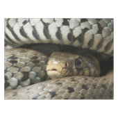 Nappe Serpent (Devant (Horizontal))