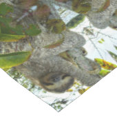 Nappe Sloth (Angle)