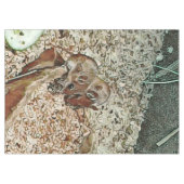 Nappe souris naine (Devant (Horizontal))