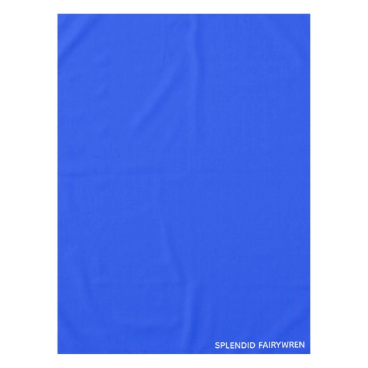 Nappe Splendid Fairywren Blue Colour (Devant)