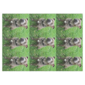 Nappe Staffordshire Bull Terrier Assis À L'Attention, (Devant (Horizontal))