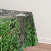 Nappe Staffordshire Bull Terrier Assis À L'Attention, (In Situ)