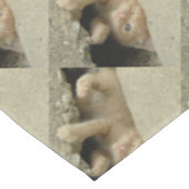 Nappe Super Hero Orange Tabby Kitten (Angle)