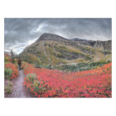 Nappe Swiftcurrent Pass Trail - Parc national des Glacie (Devant (Horizontal))