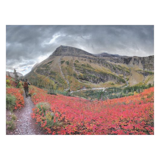 Nappe Swiftcurrent Pass Trail - Parc national des Glacie (Devant (Horizontal))