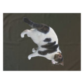 Nappe Tabby Blanc Avec Patches Sombres (Devant (Horizontal))